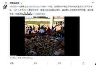 信阳学生家长爆料视频播放,校园安全问题引关注  第2张